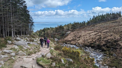 A view down a hill with a woodland and the sea in the background. Three people are walking up the hill recording a podcast.